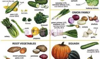 有关蔬菜的英语单词 蔬菜英语怎么写